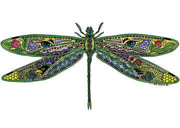 Dragonfly - Sue Coccia