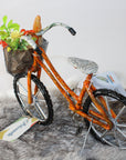 CR Gar Bicycles