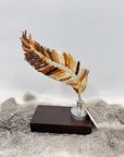 SAL VITRALES FEATHER