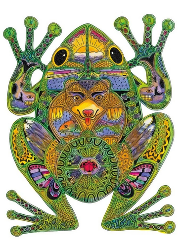 Frog - Sue Coccia