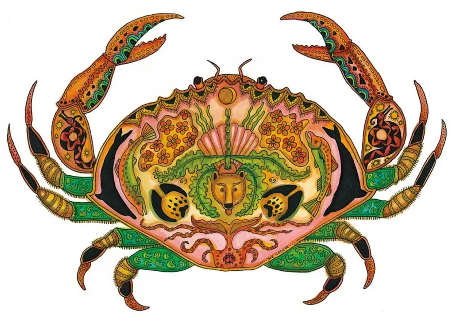 Crab - Sue Coccia