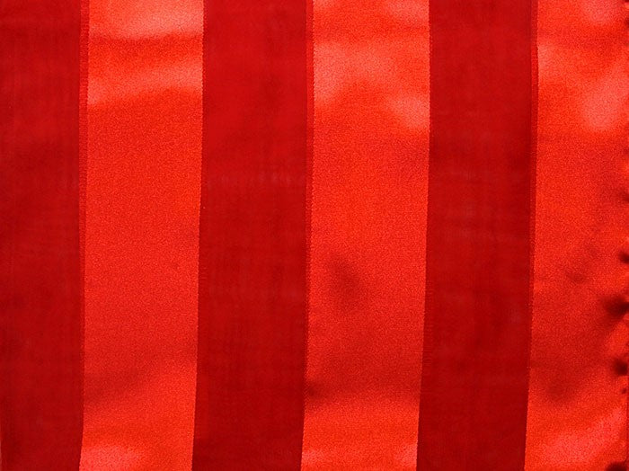 Red Stripe Print Scarf