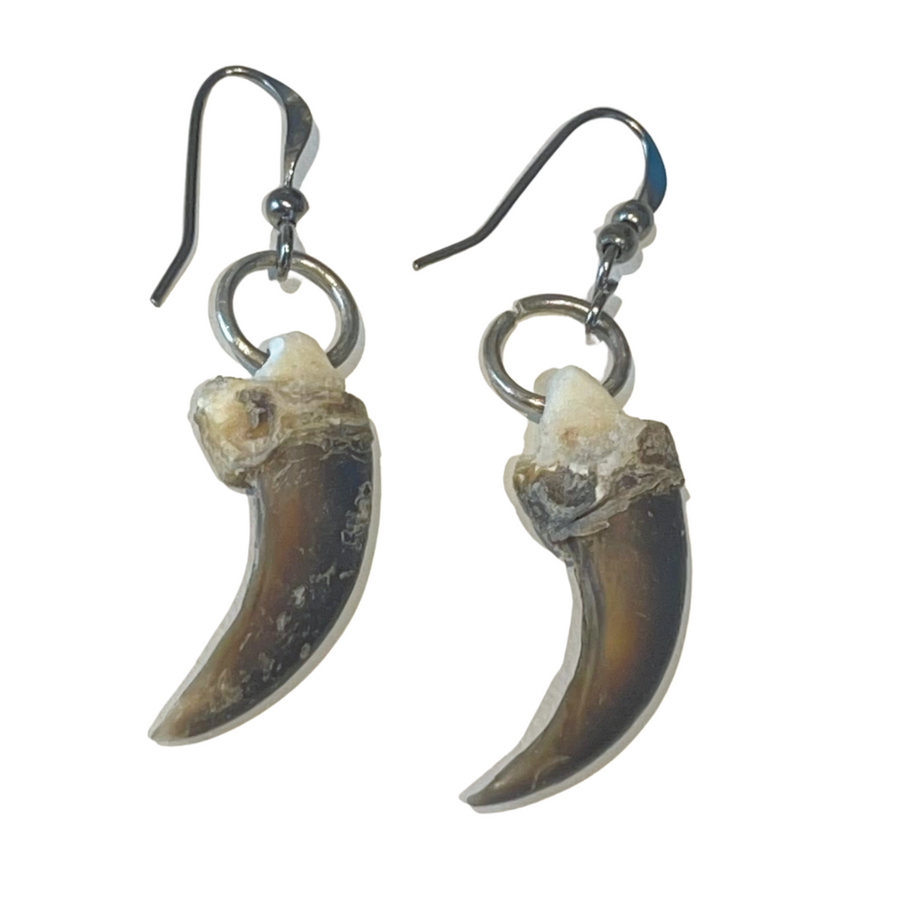Small Claw Earrings